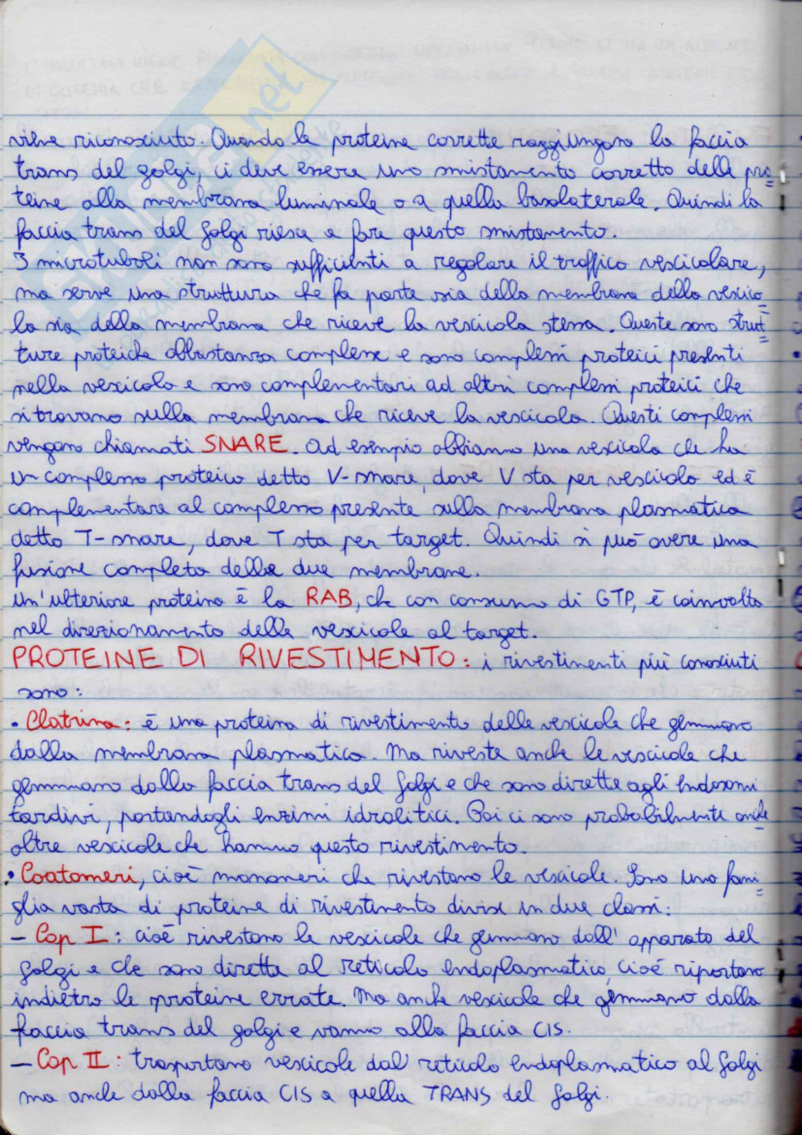 Fisiologia Pag. 36