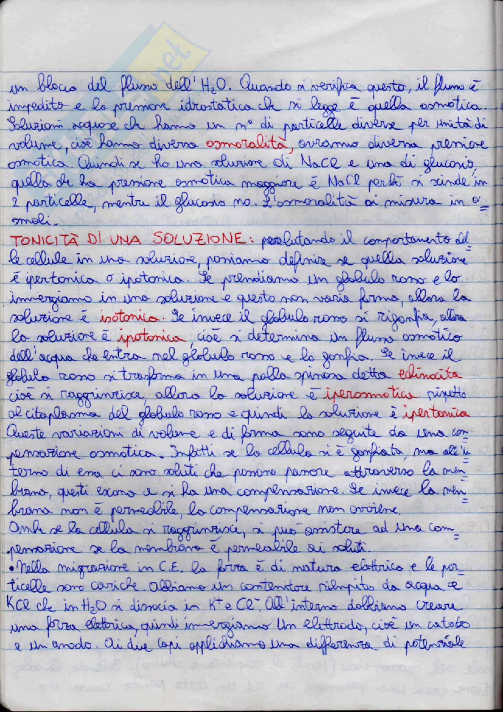 Fisiologia Pag. 6