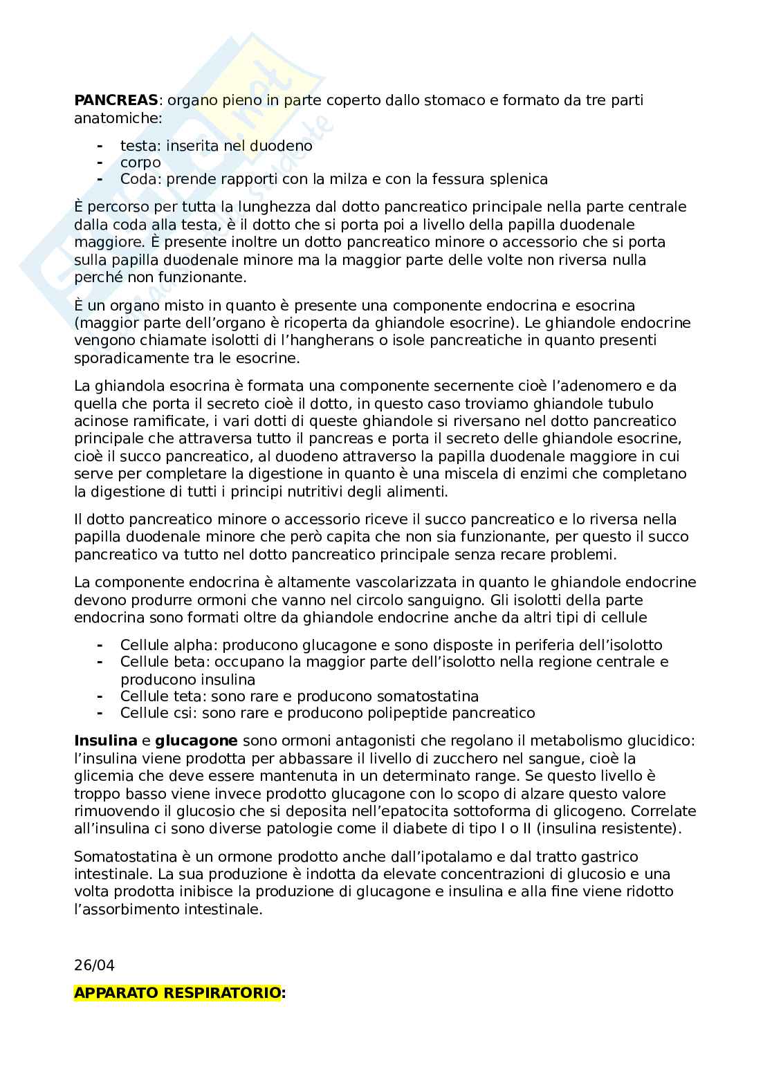 Appunti anatomia Pag. 21