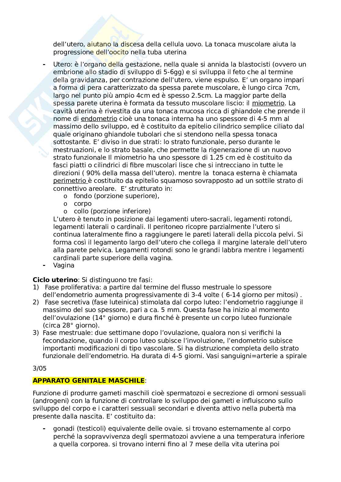 Appunti anatomia Pag. 36