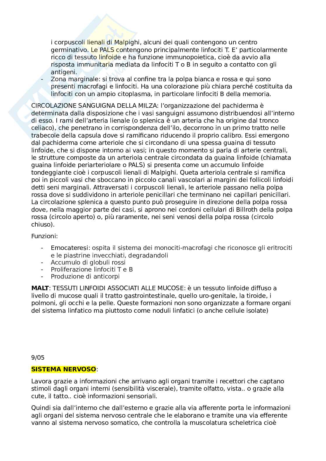 Appunti anatomia Pag. 46