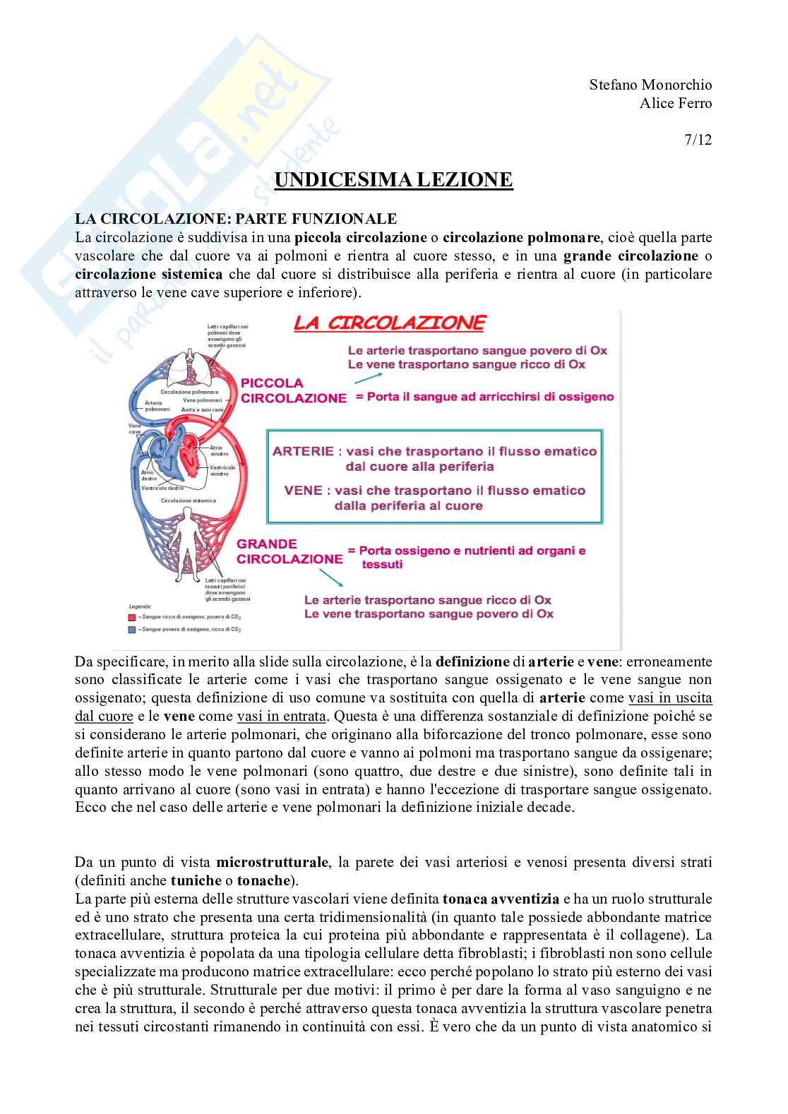 Circolazione  Pag. 1