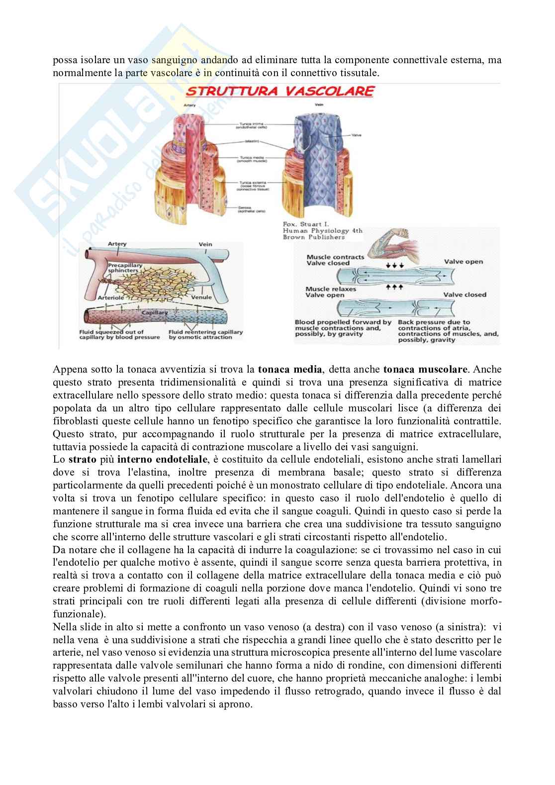 Circolazione  Pag. 2