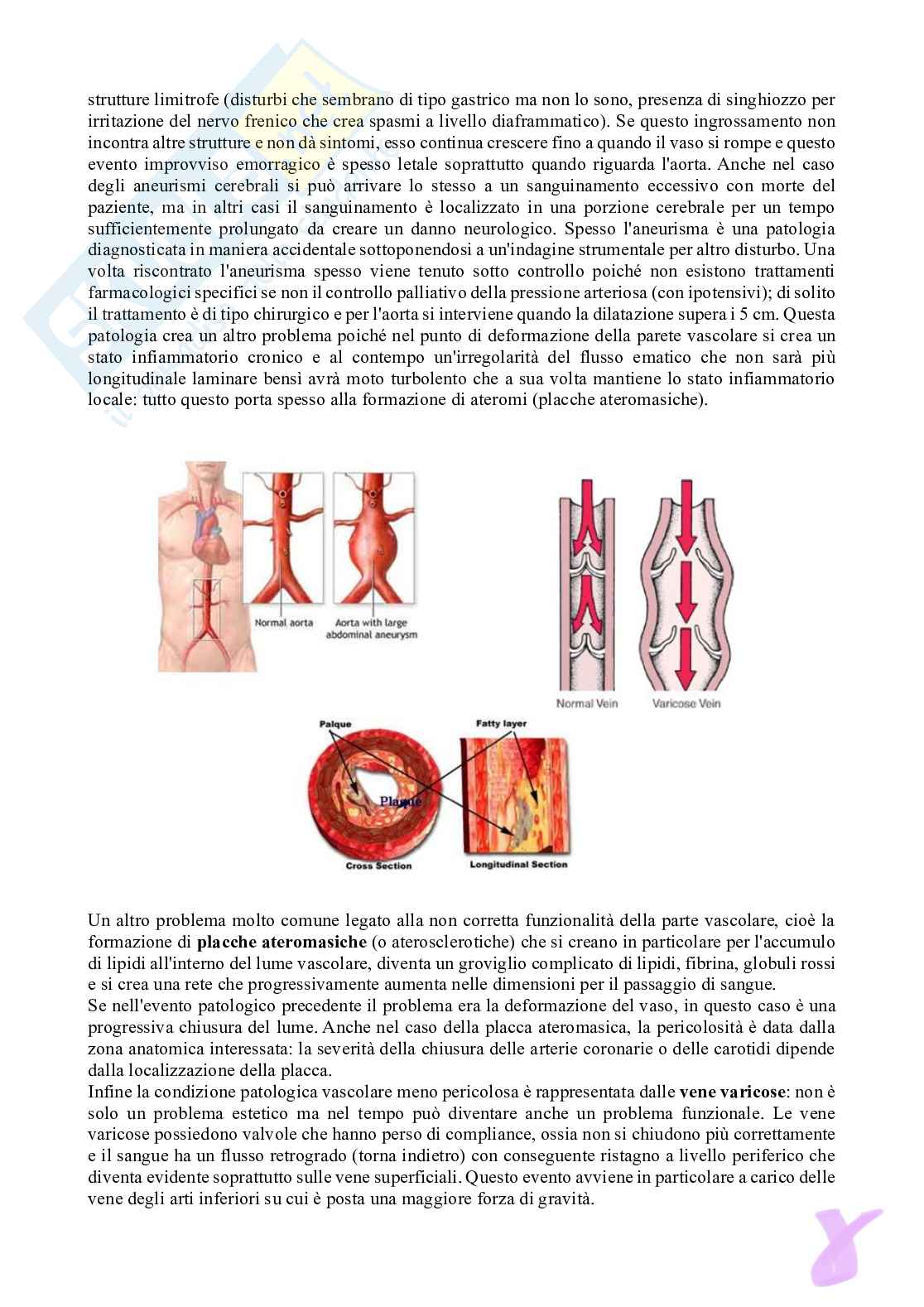 Circolazione  Pag. 6