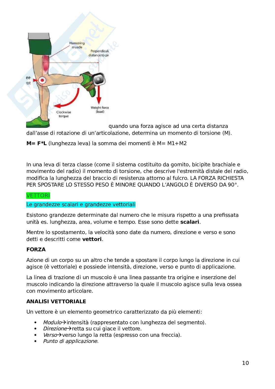Teoria e metodologia dell'attività motoria Pag. 11