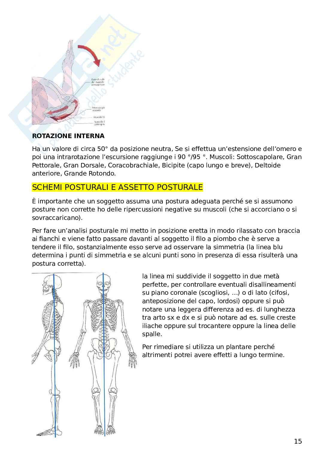 Teoria e metodologia dell'attività motoria Pag. 16