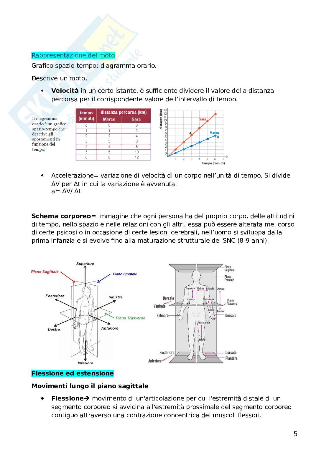 Teoria e metodologia dell'attività motoria Pag. 6