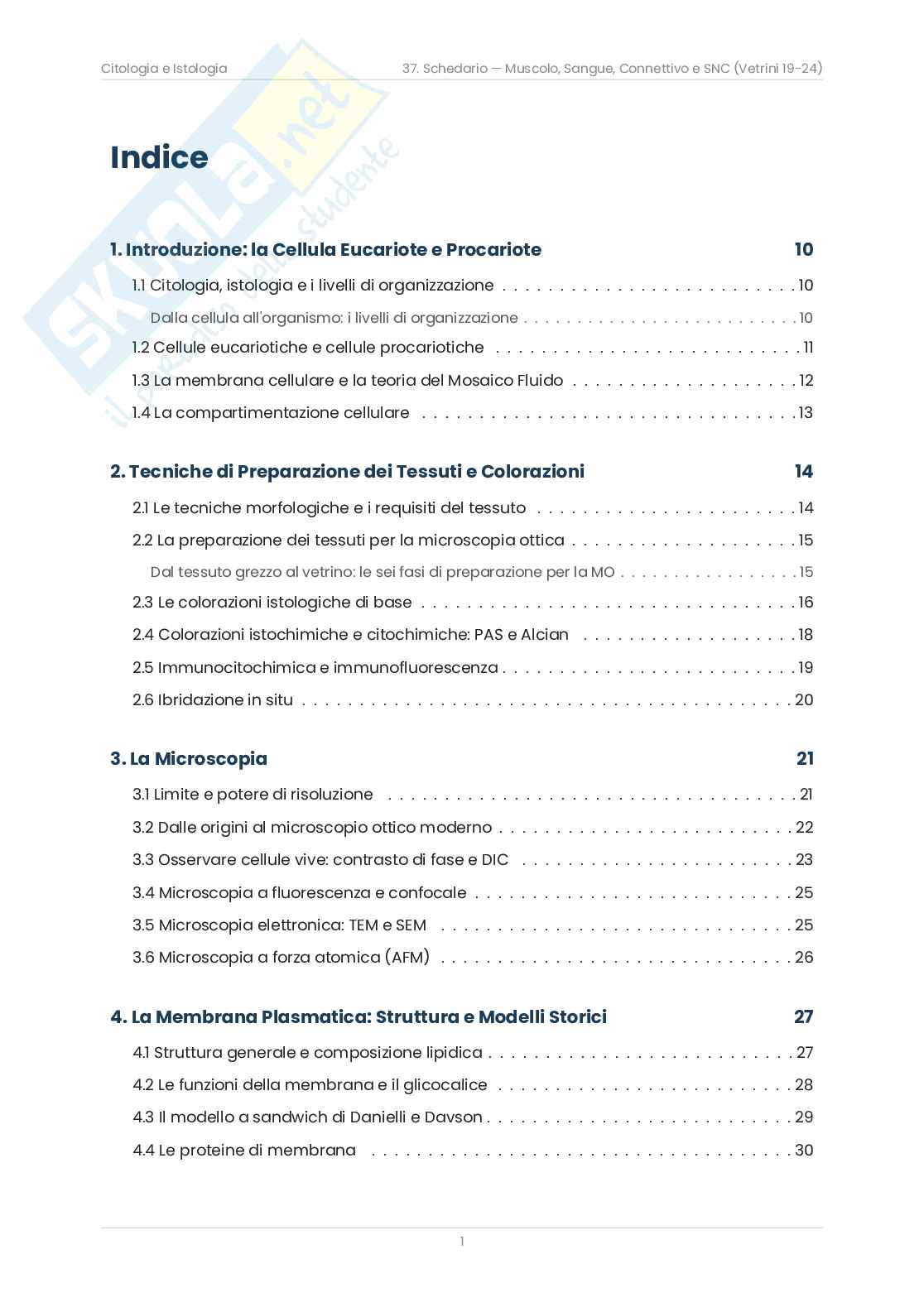 Riassunto esame Citologia e istologia, Prof. Bottone Maria Grazia, libro consigliato Citologia e Istologia, Bottone Pag. 2
