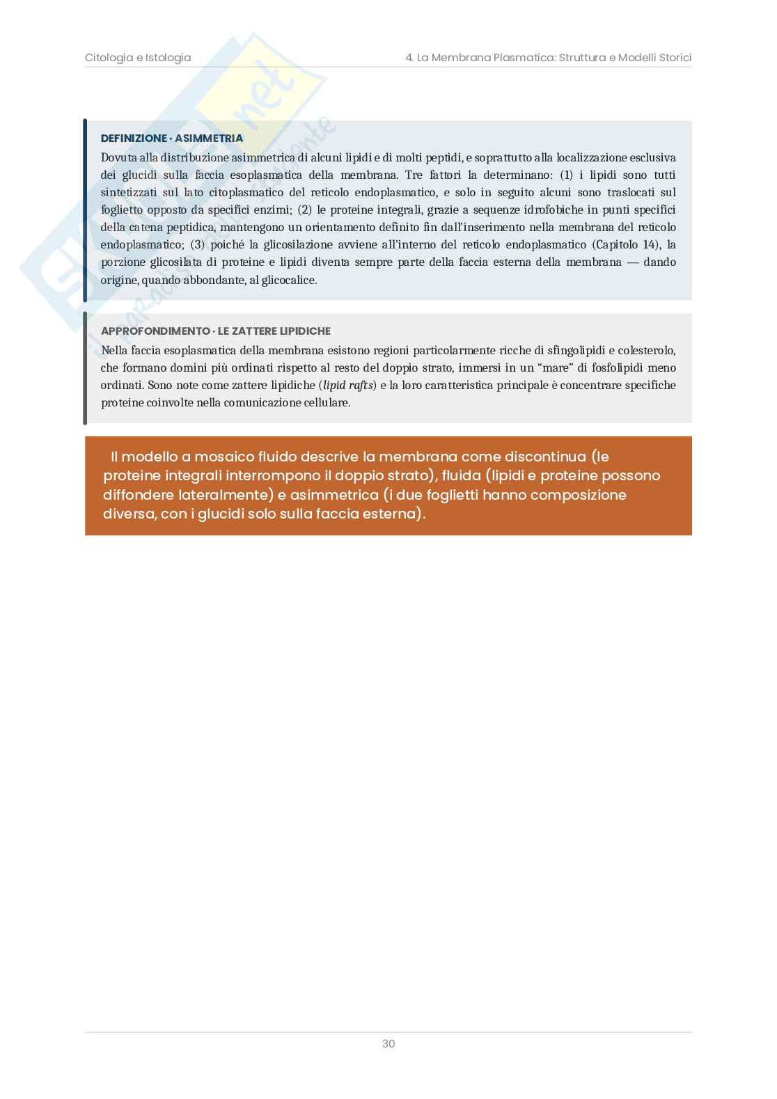 Riassunto esame Citologia e istologia, Prof. Bottone Maria Grazia, libro consigliato Citologia e Istologia, Bottone Pag. 31