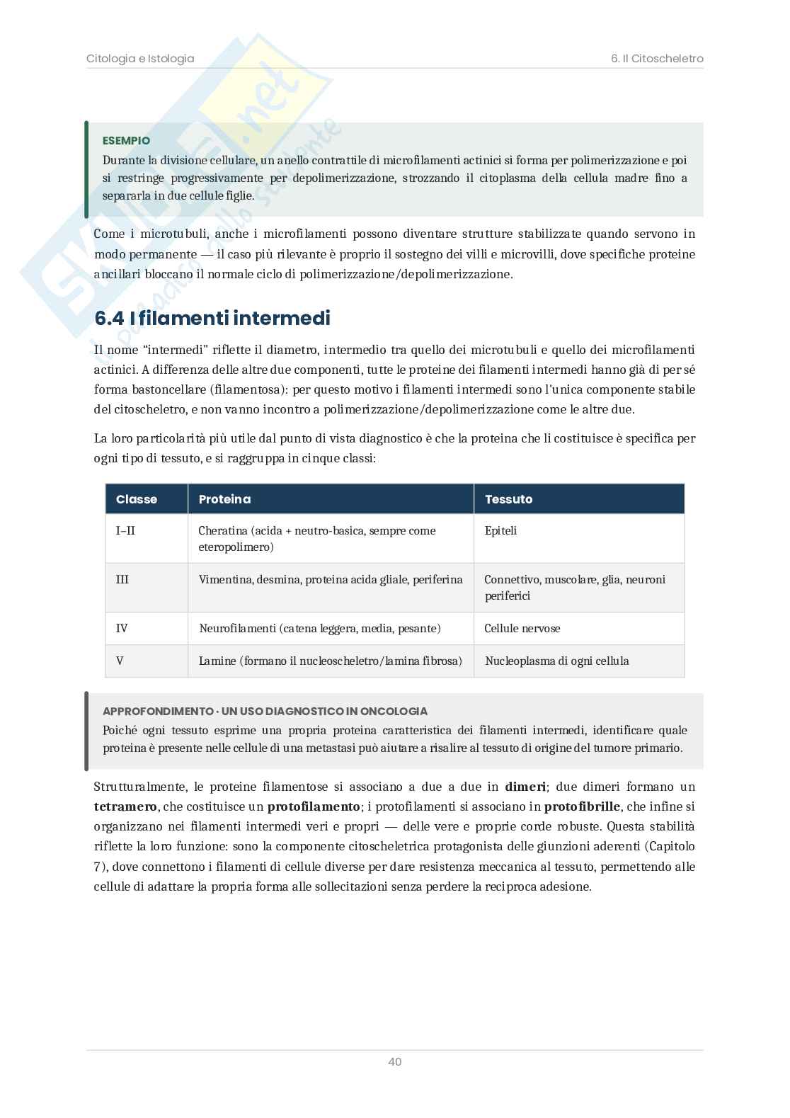 Riassunto esame Citologia e istologia, Prof. Bottone Maria Grazia, libro consigliato Citologia e Istologia, Bottone Pag. 41