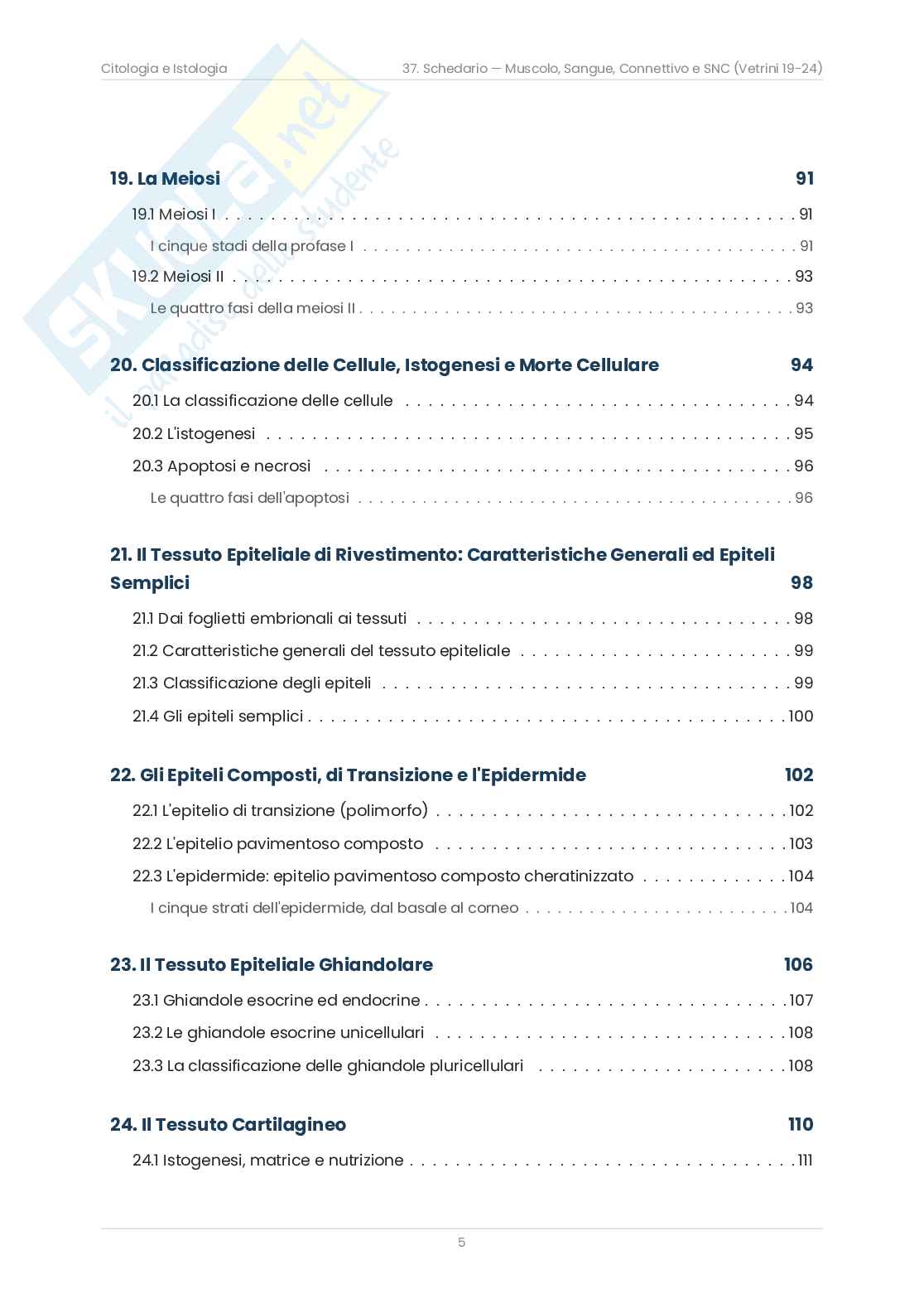 Riassunto esame Citologia e istologia, Prof. Bottone Maria Grazia, libro consigliato Citologia e Istologia, Bottone Pag. 6
