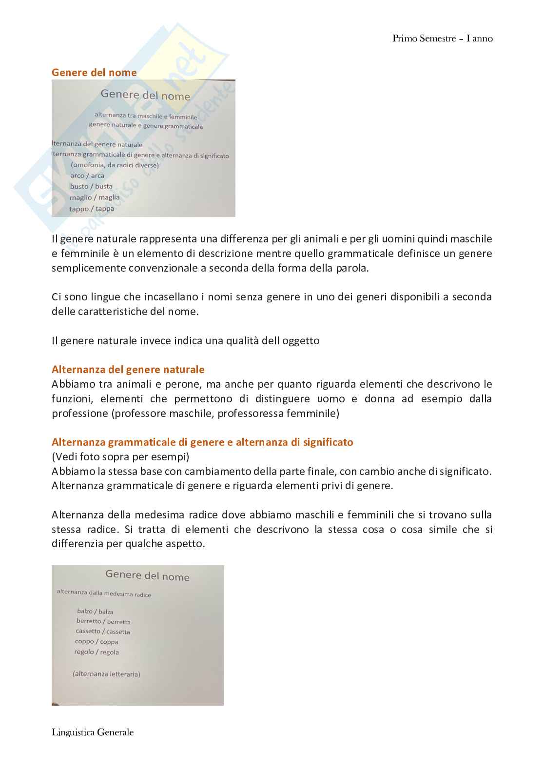 Linguistica generale Pag. 51