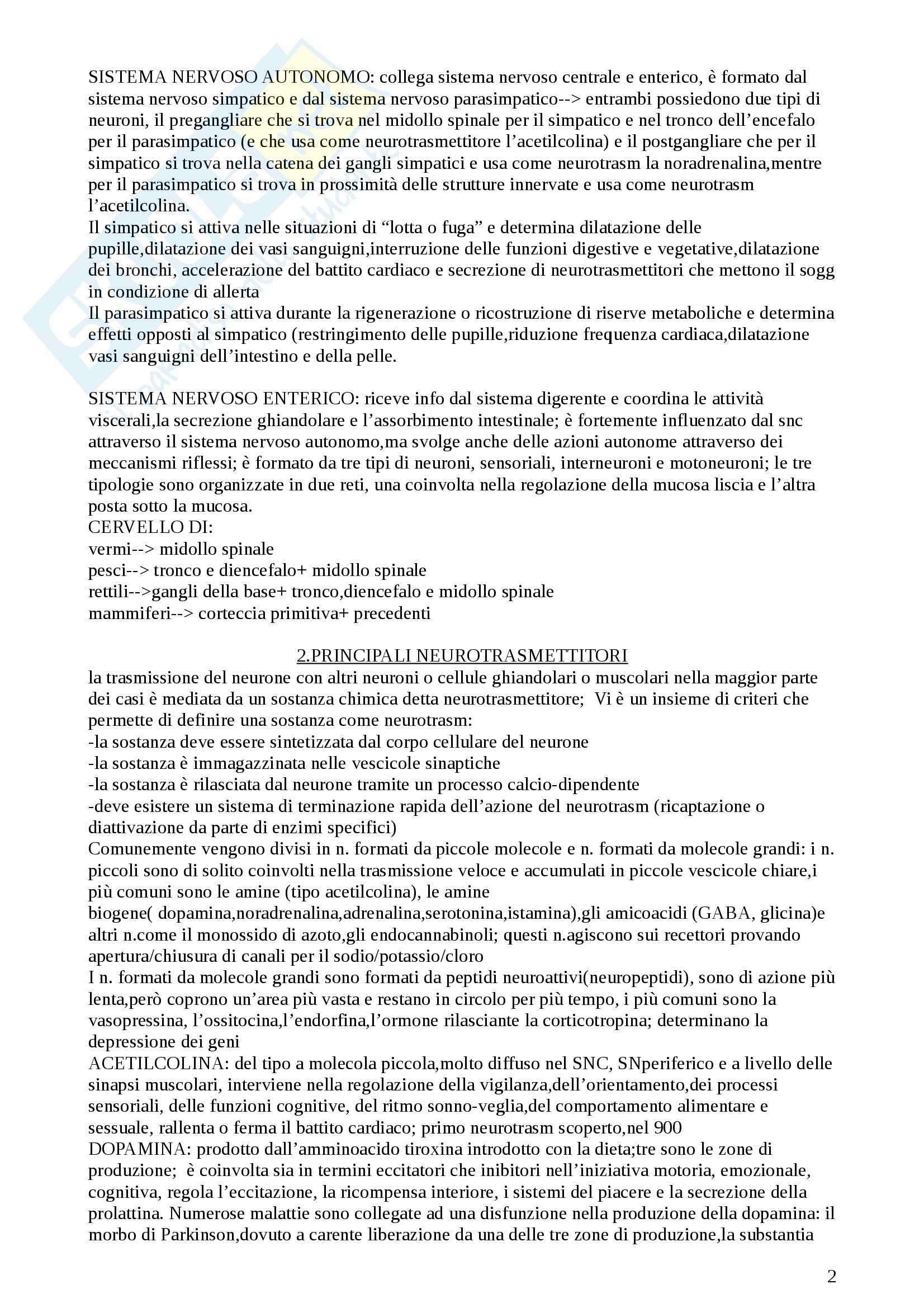 Nozioni, Neuropsichiatria infantile Pag. 2