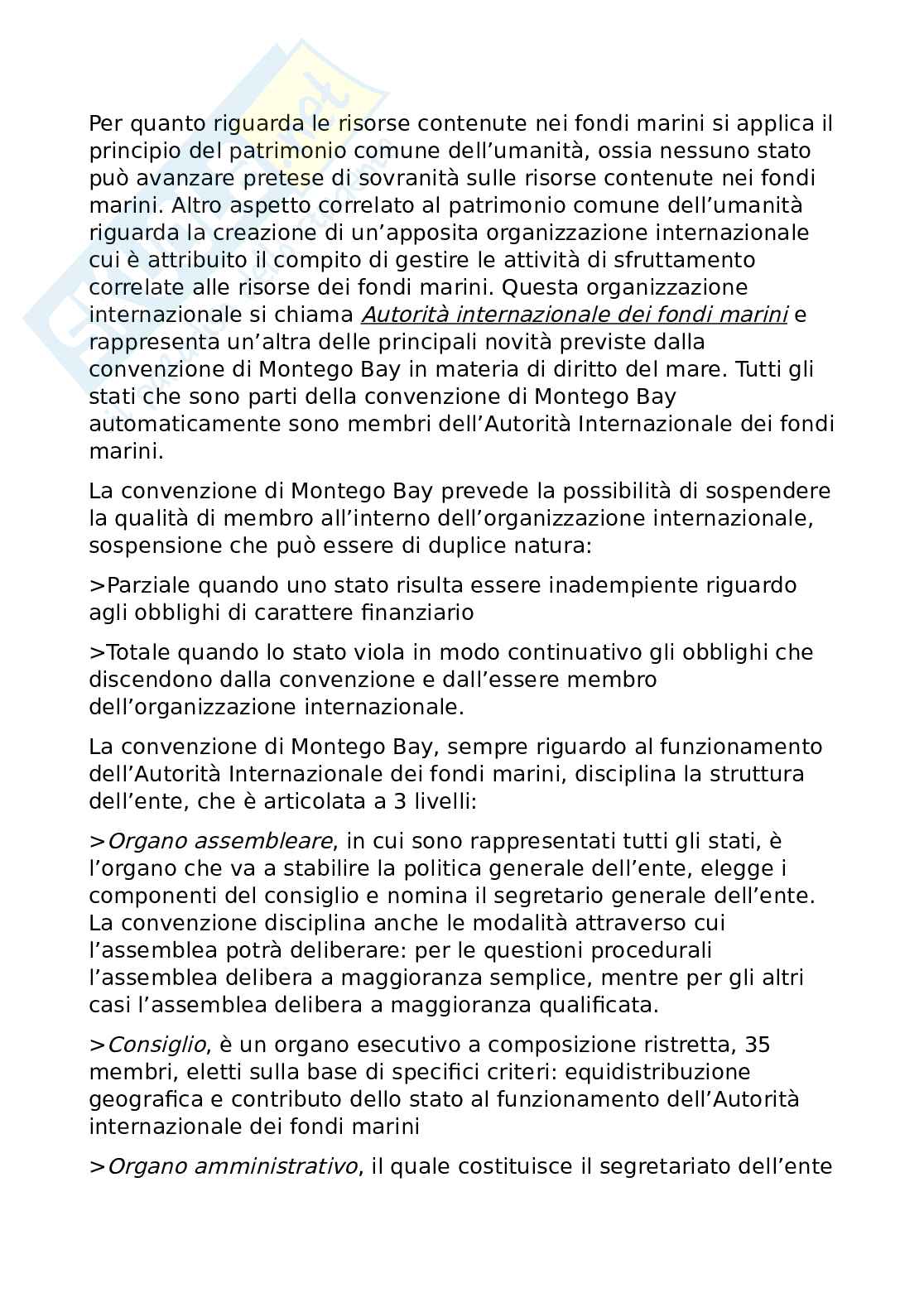 Diritto internazionale Pag. 61
