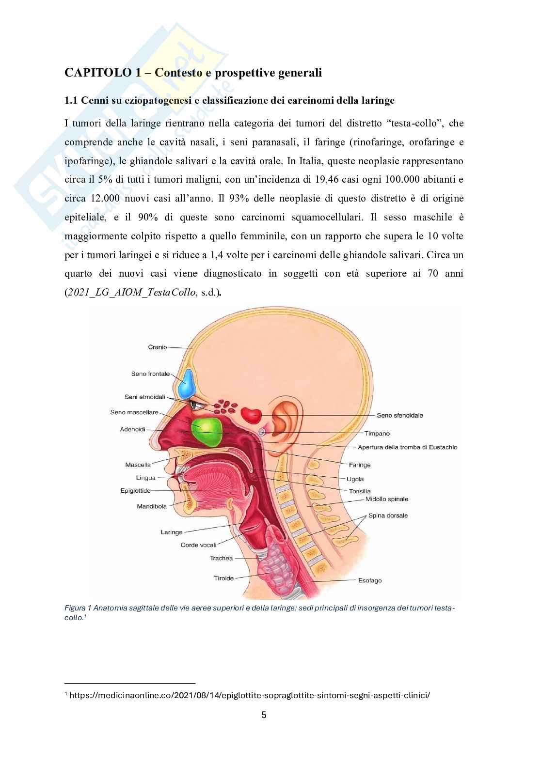 L’importanza della presa in carico logopedica pre-operatoria nella chirurgia ricostruttiva della laringe: dalla revisione della letteratura alla creazione di un protocollo aziendale Pag. 6