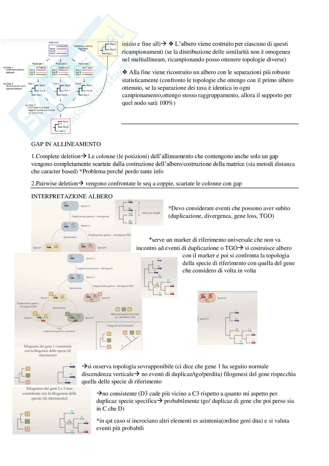 Bioinformatica con laboratorio, parte 2 Pag. 11