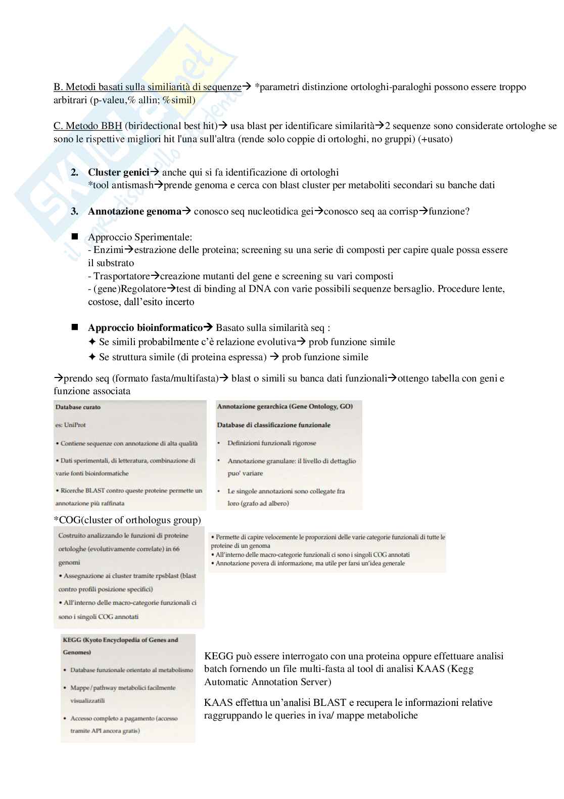 Bioinformatica con laboratorio, parte 2 Pag. 21