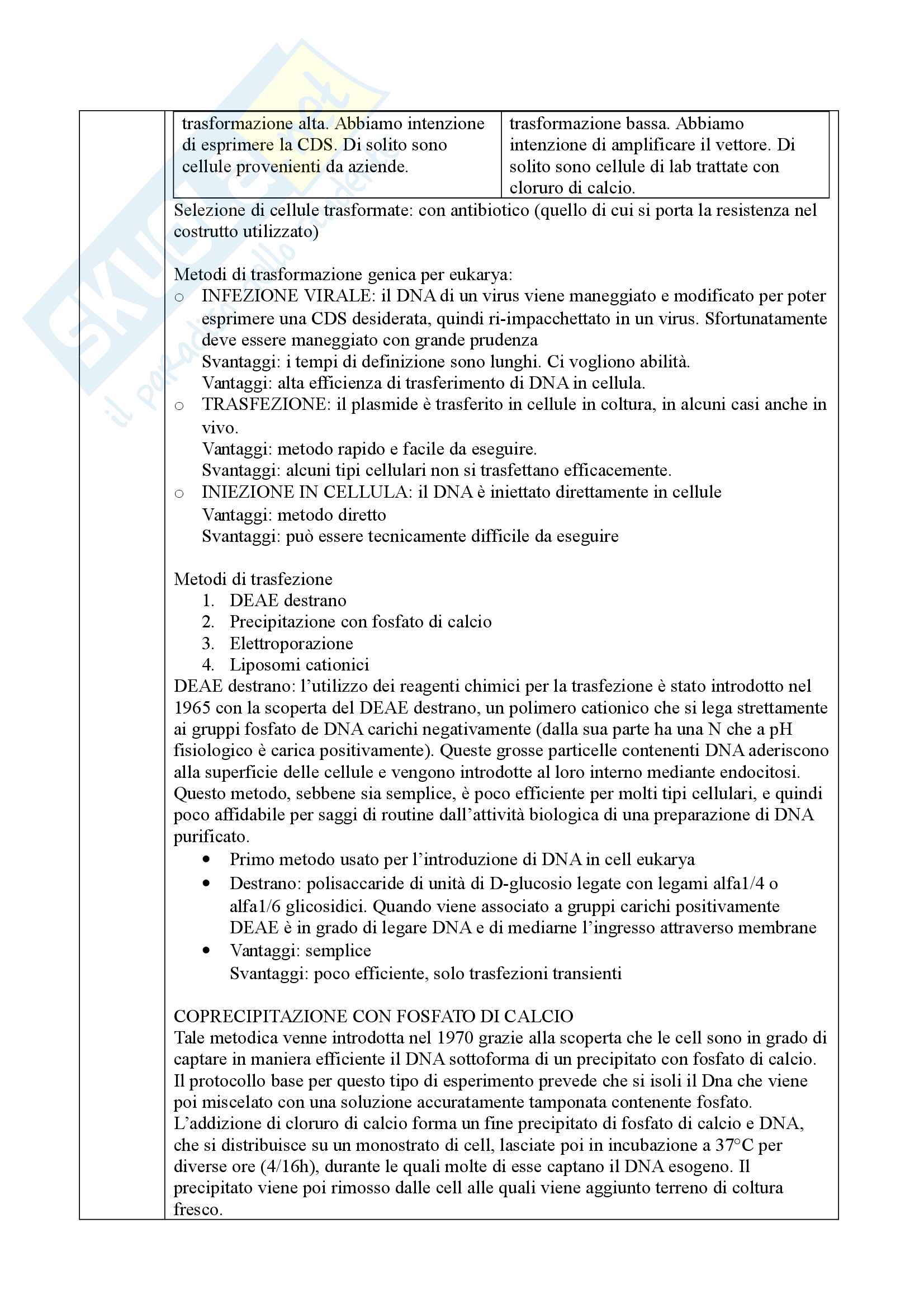 Ingegneria Cellulare Pag. 31