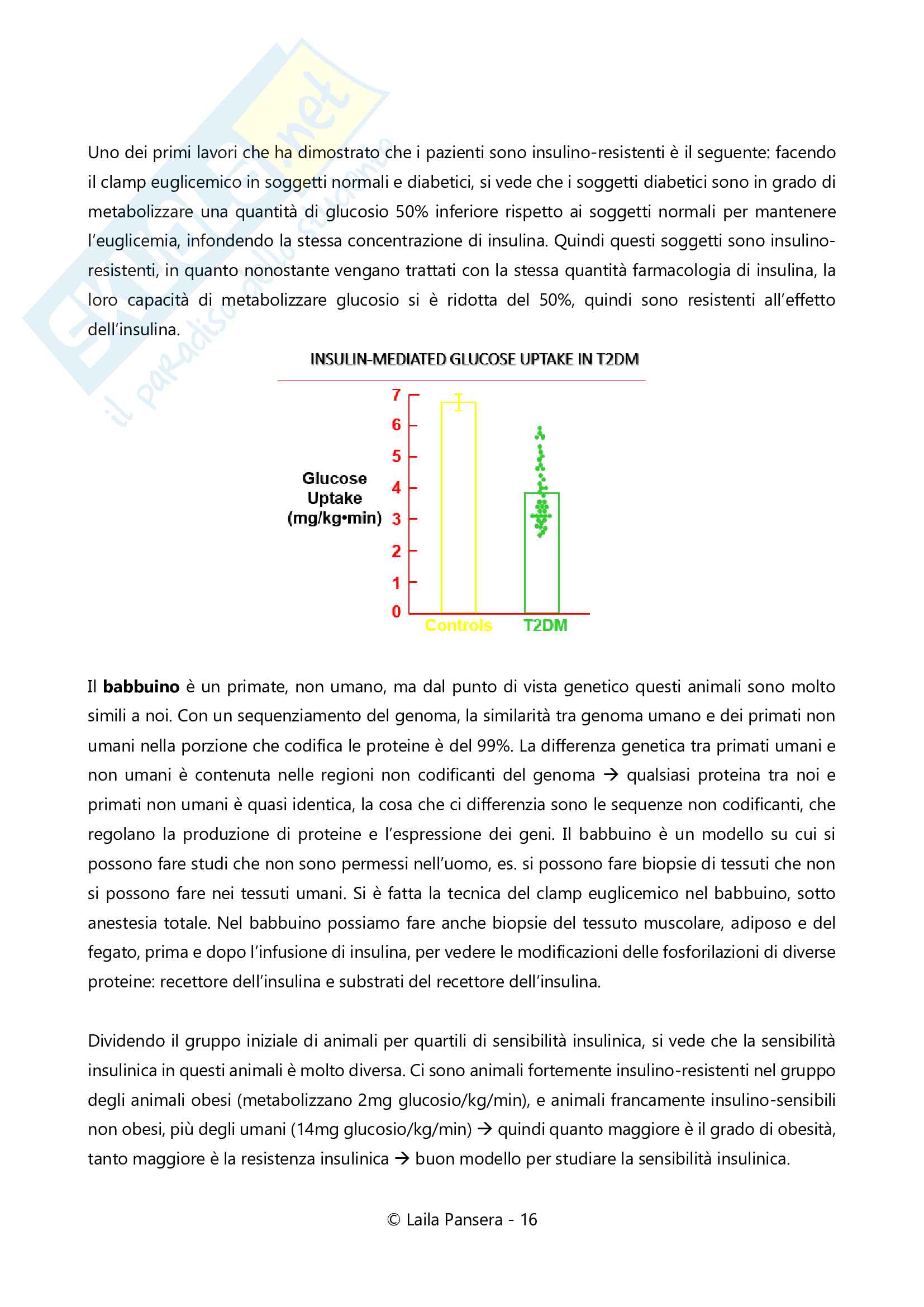 Sistematica e prevenzione Pag. 16