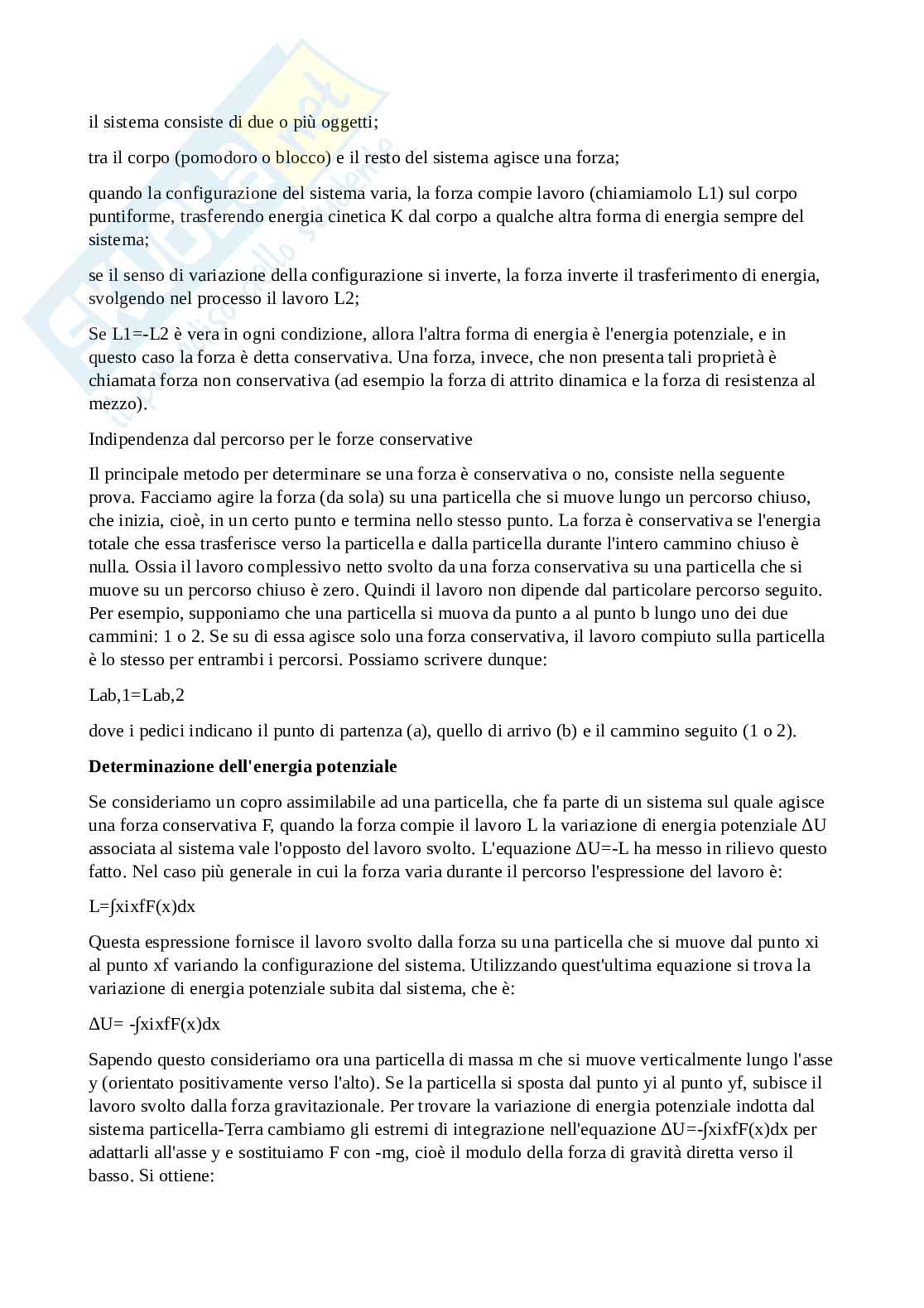 Appunti di Fisica sui moti Pag. 11