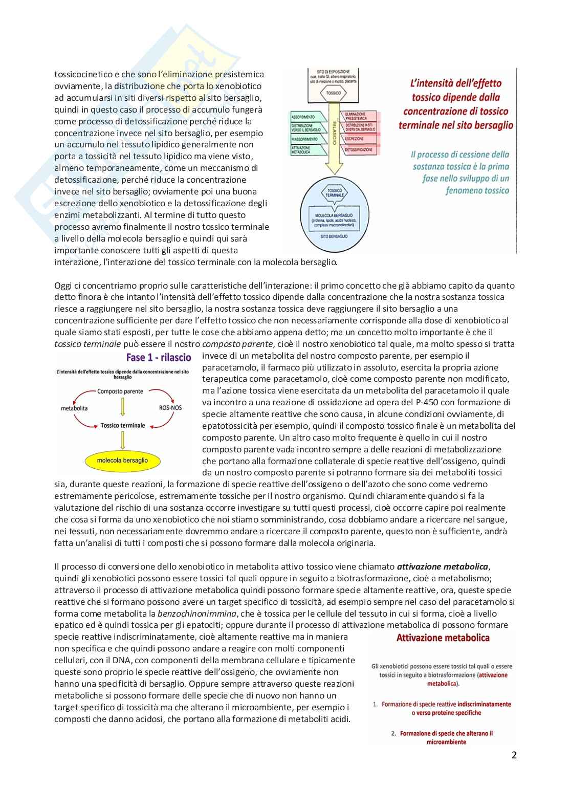 Tossicologia generale e del farmaco - parte 3 Pag. 21