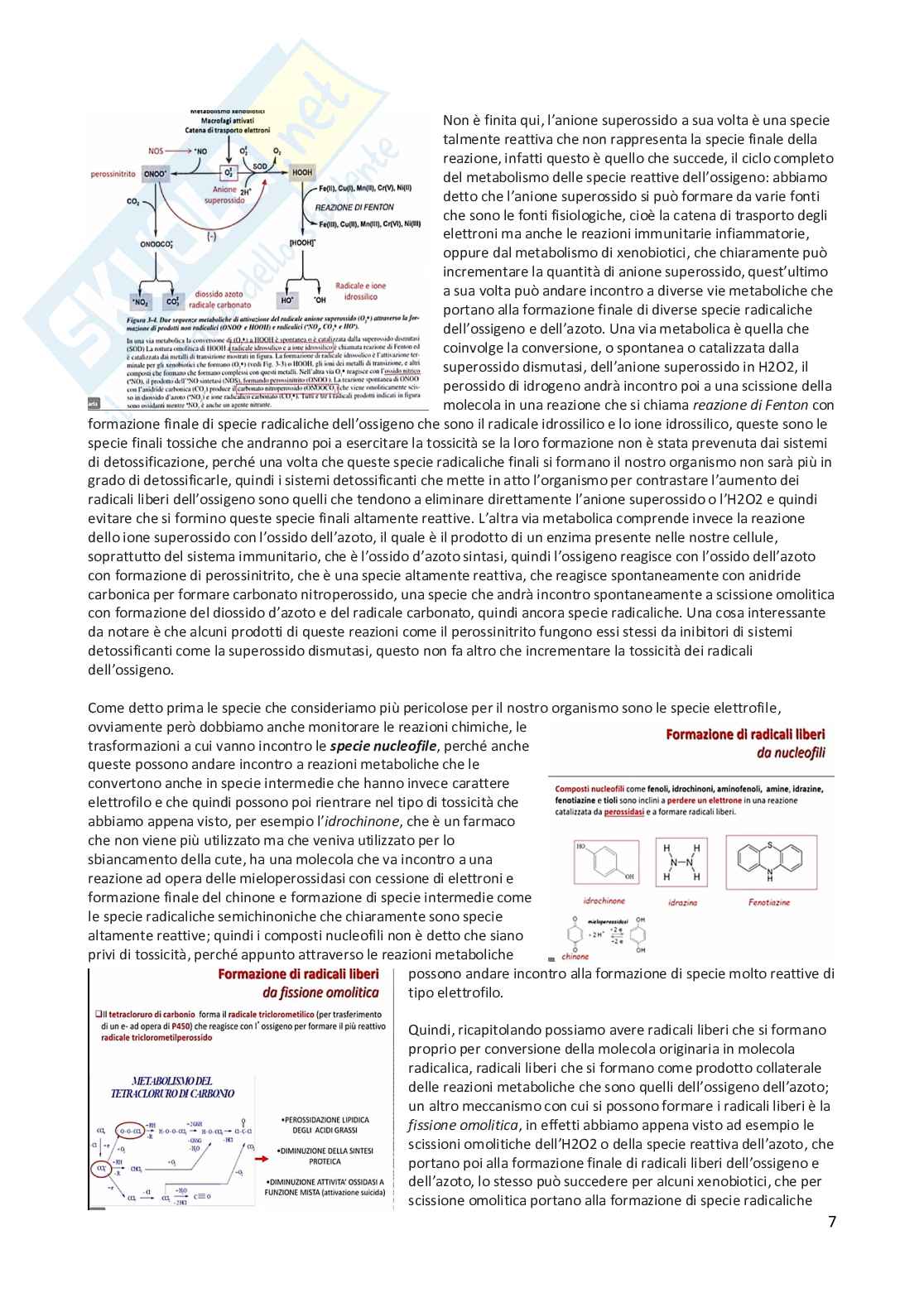 Tossicologia generale e del farmaco - parte 3 Pag. 26