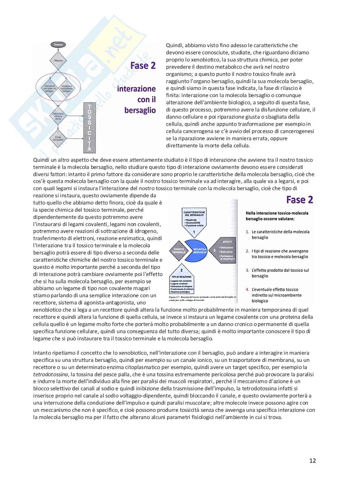 Tossicologia generale e del farmaco - parte 3 Pag. 31