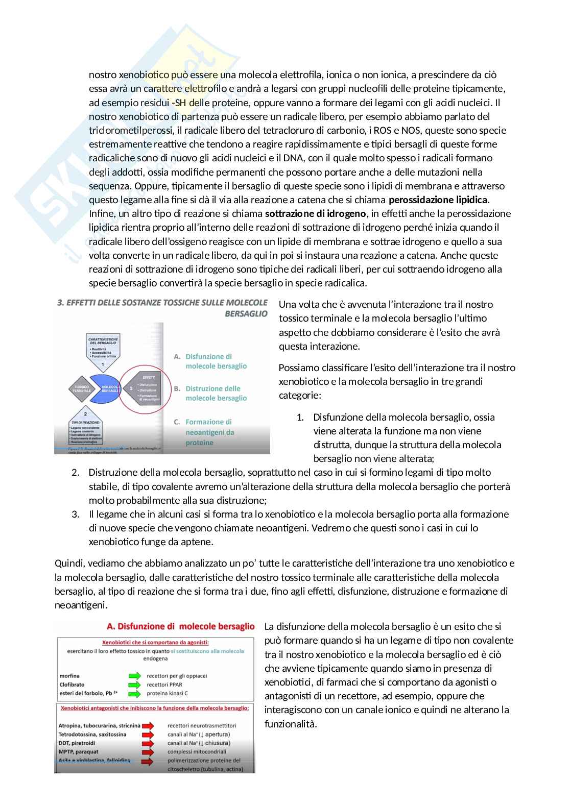 Tossicologia generale e del farmaco - parte 3 Pag. 36