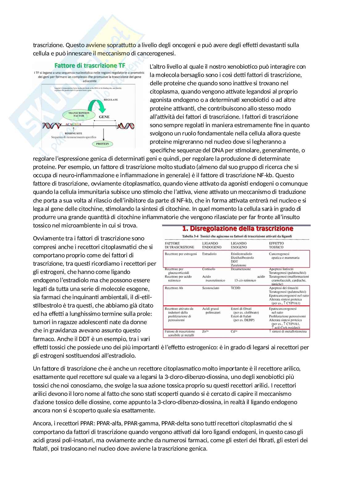 Tossicologia generale e del farmaco - parte 3 Pag. 41