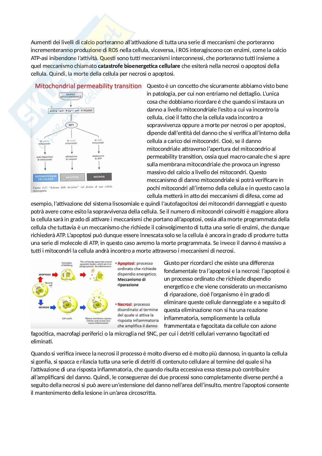 Tossicologia generale e del farmaco - parte 3 Pag. 46
