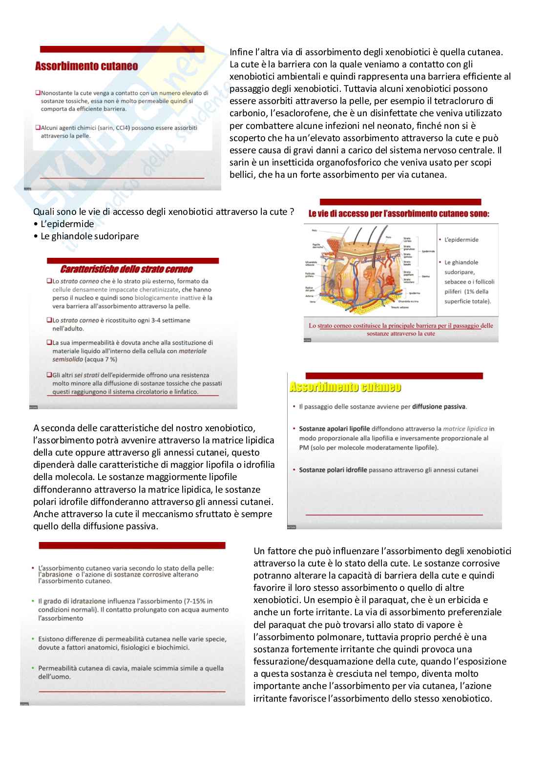 Tossicologia generale e del farmaco - parte 3 Pag. 61