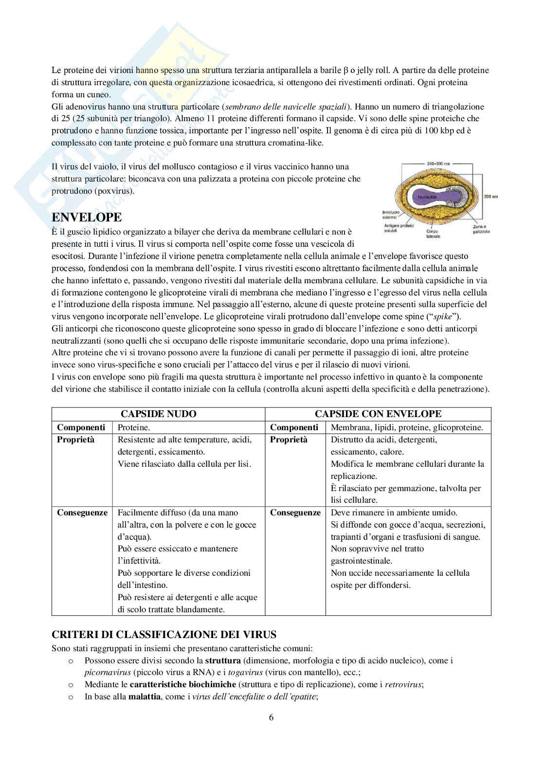 Appunti di Virologia generale Pag. 6