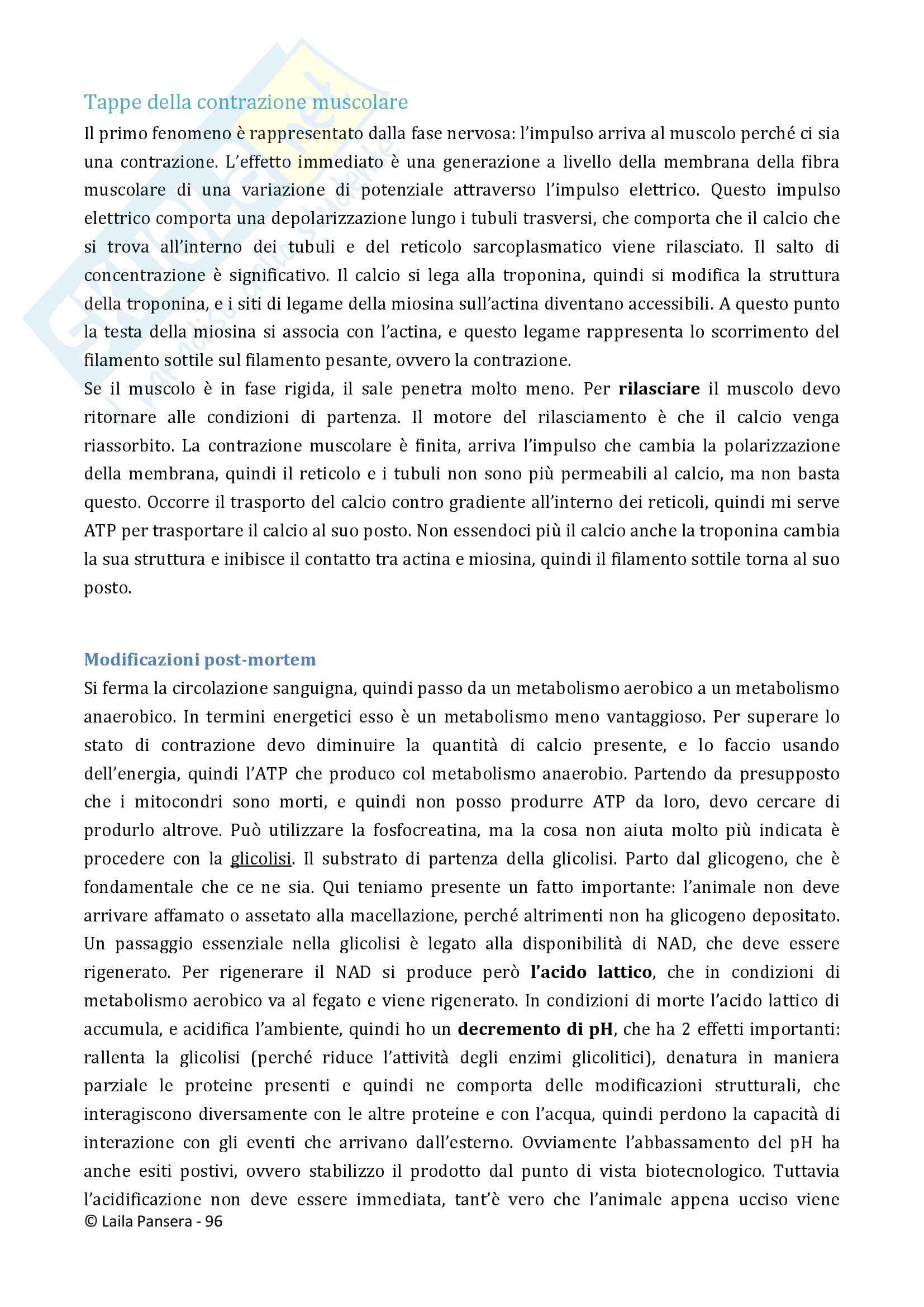 Biochimica 2 Pag. 96