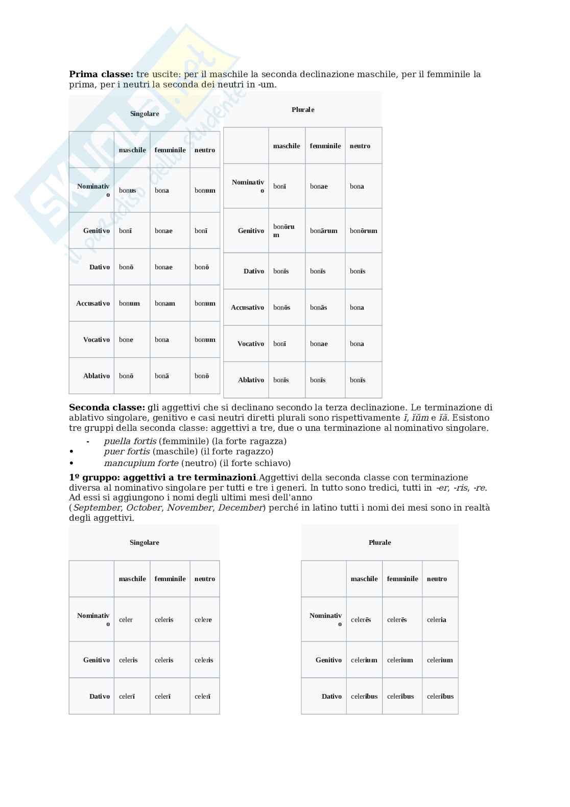 Appunti lezione Grammatica latina  Pag. 11