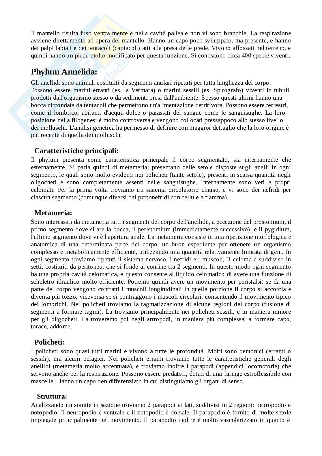 Appunti del corso di Zoologia Pag. 81