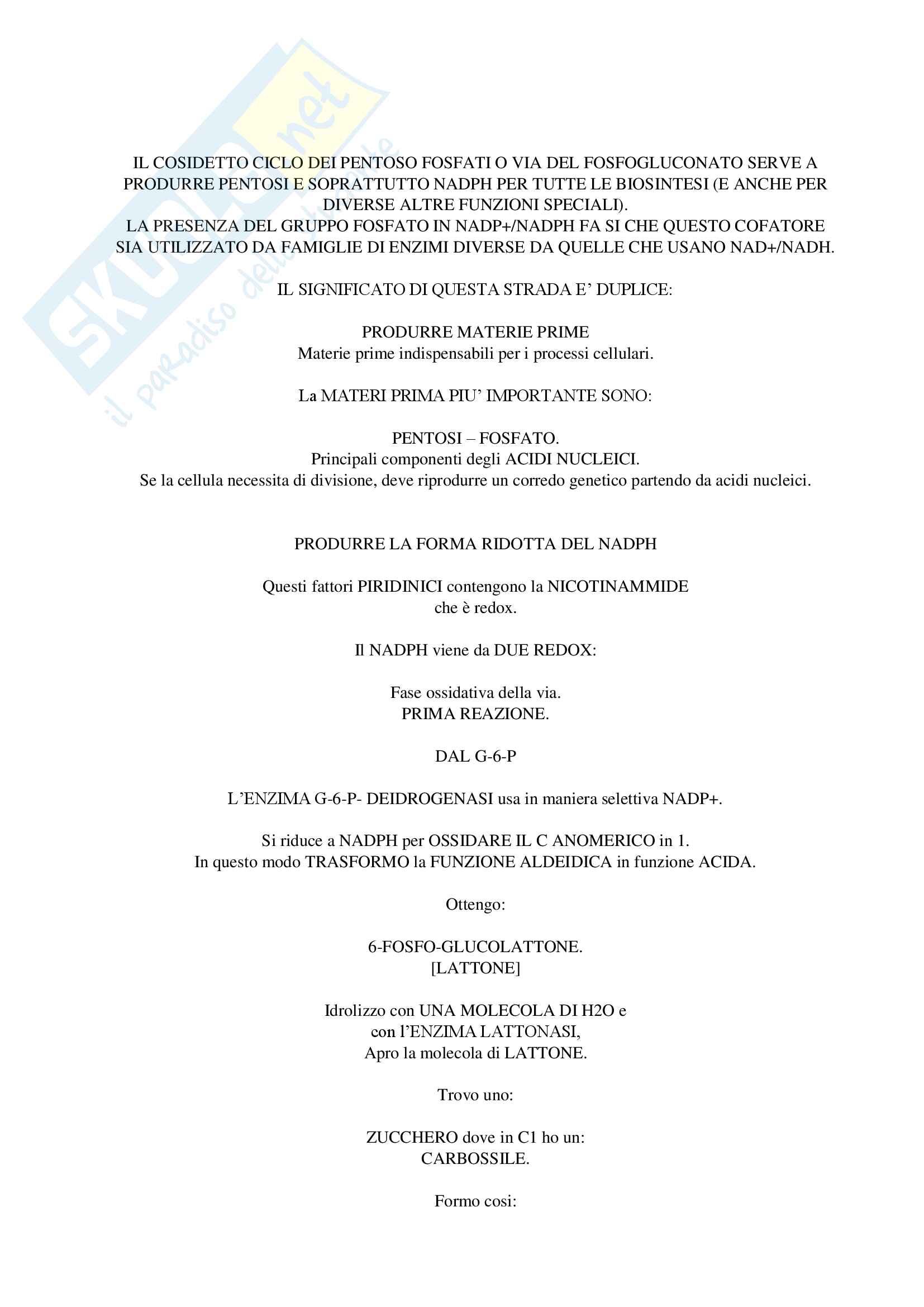 Biochimica Generale Mod.1 (Teoria Secondo Parziale) Pag. 21