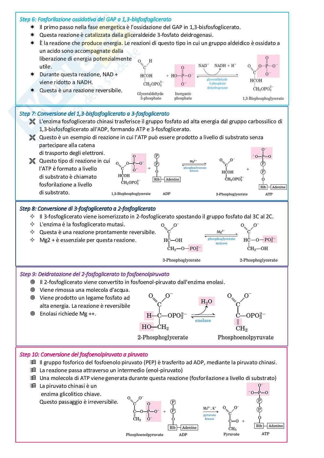 Biochimica generale Pag. 31