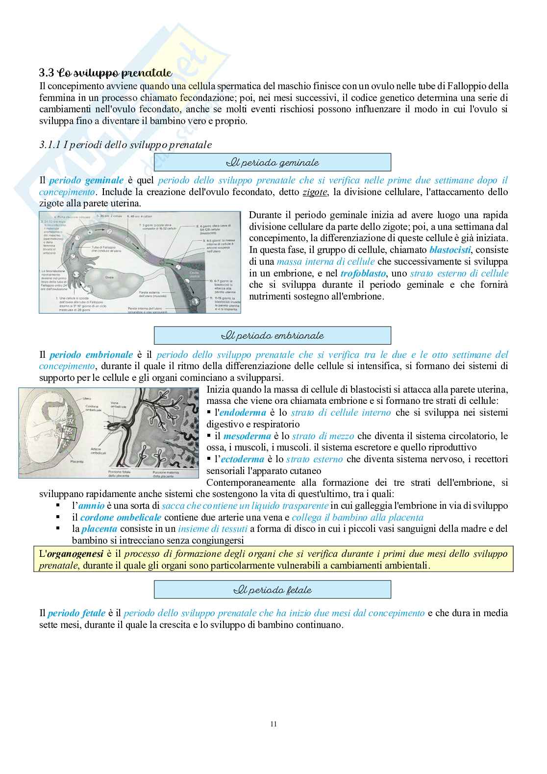 Psicologia dello sviluppo e dell’educazione  Pag. 11