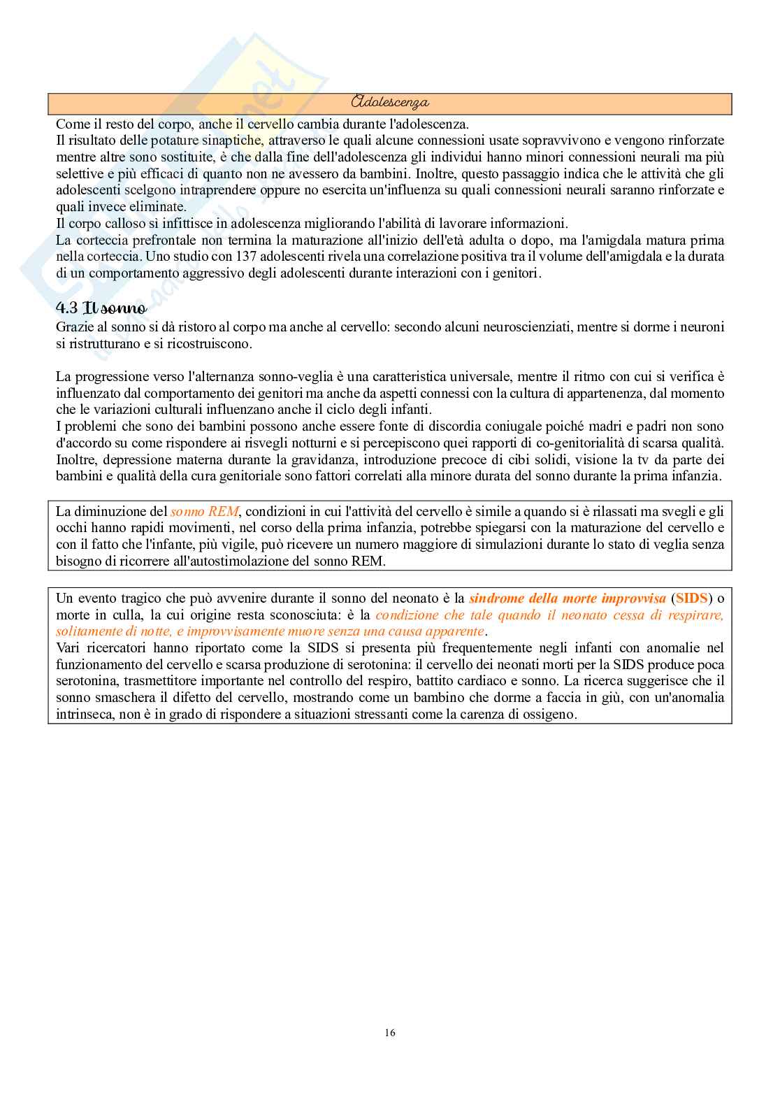 Psicologia dello sviluppo e dell’educazione  Pag. 16