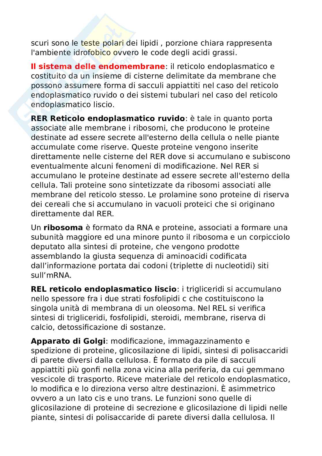 Appunti comprendenti tutti gli argomenti trattati di produzioni vegetali Pag. 6