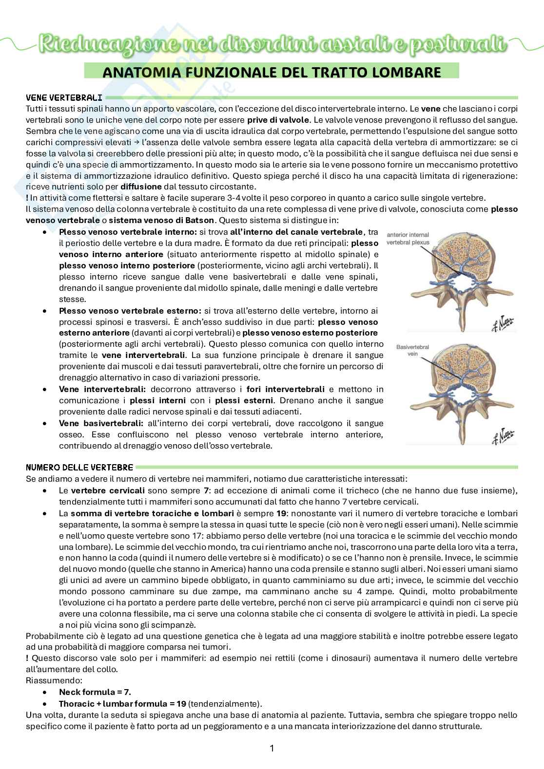 Appunti di Rieducazione nei disordini assiali e posturali Pag. 1