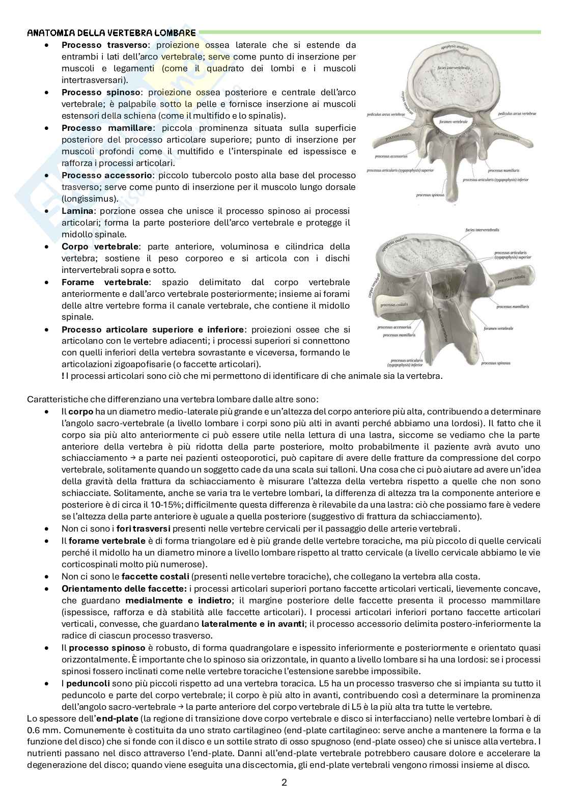 Appunti di Rieducazione nei disordini assiali e posturali Pag. 2