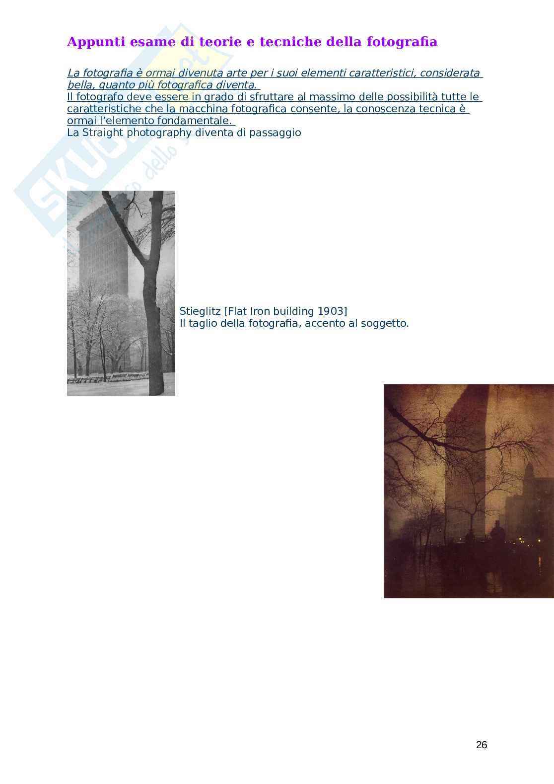 Appunti di Teorie e tecniche della fotografia Pag. 26