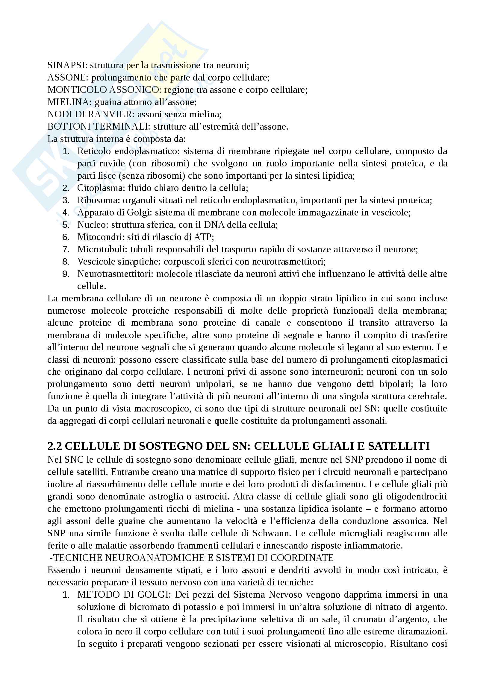 Riassunto esame Psicobiologia del linguaggio, docente Falzone, libro consigliato manuale "Psicobiologia", J.P.J Pinel Pag. 2