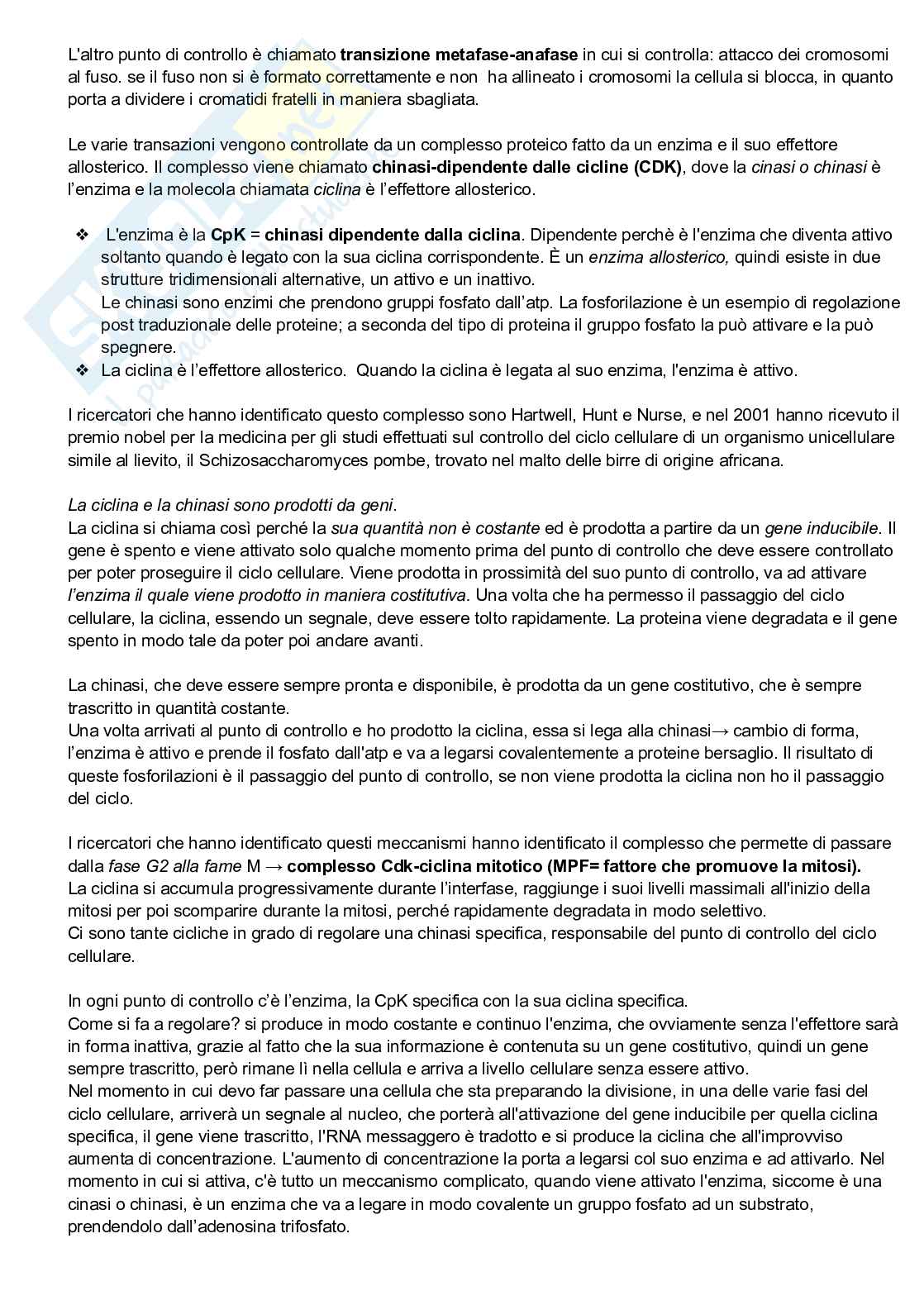 Mitosi Pag. 11