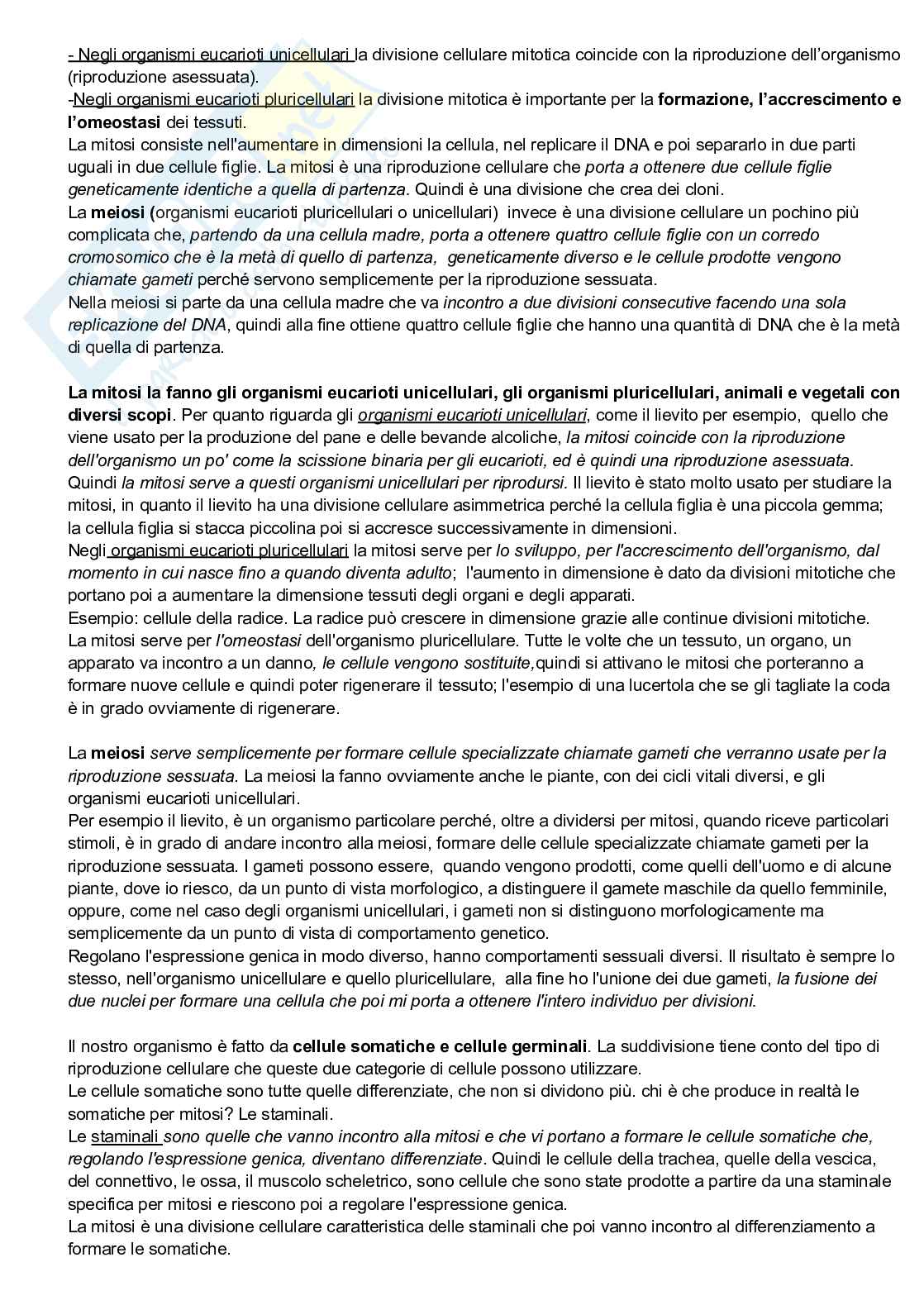 Mitosi Pag. 2