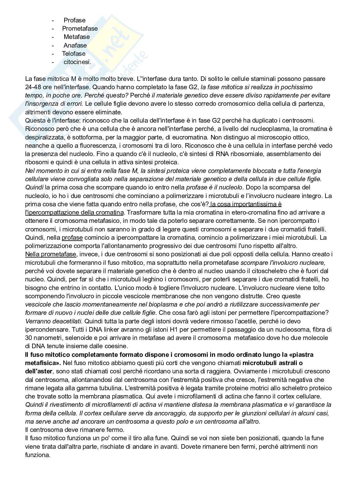 Mitosi Pag. 6