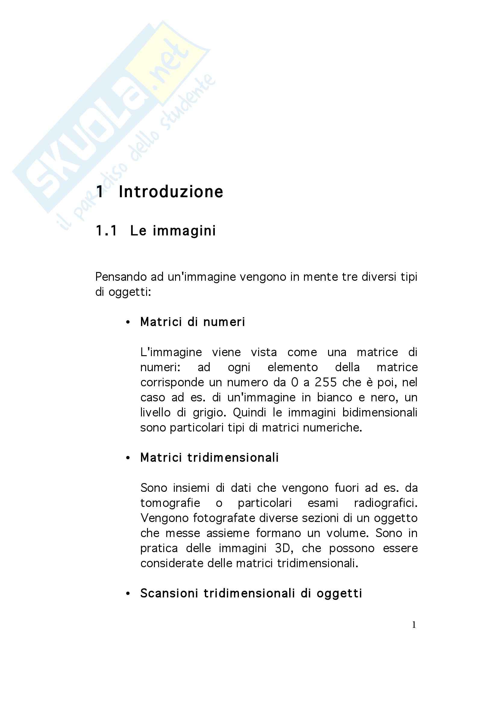 informatica - formazione e percezione delle immagini Pag. 1